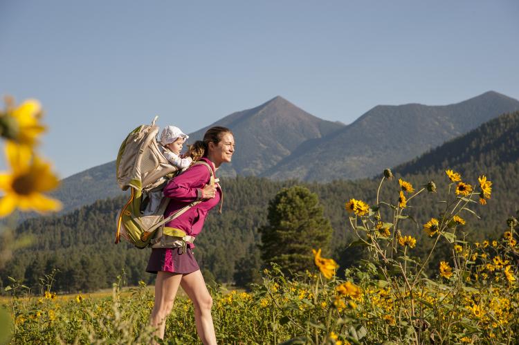 Woman hiking through sunflowers with baby in Flagstaff, AZ. 