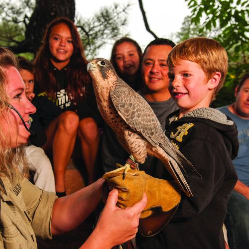 boy holding bird at arboretum