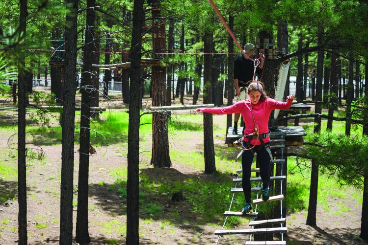 extreme high ropes adventure