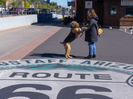 A woman hugging her dog by the iconic Route 66 landmark in Flagstaff.