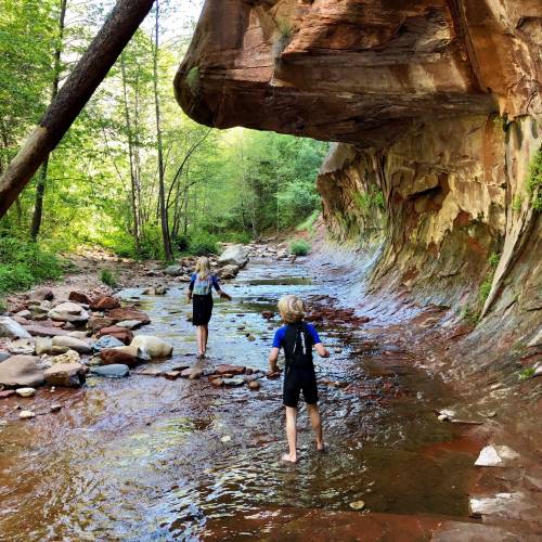 Children walk in water at West Fork in Oak Creek Canyon, Flagstaff, Arizona