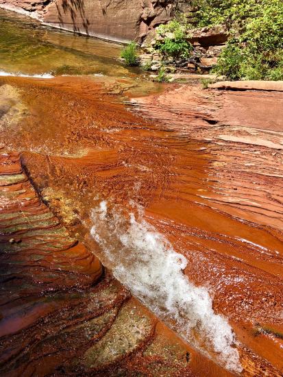 The red rock walls of the West Fork Trail.