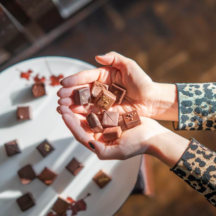 Hands holding multiple small pieces of chocolate