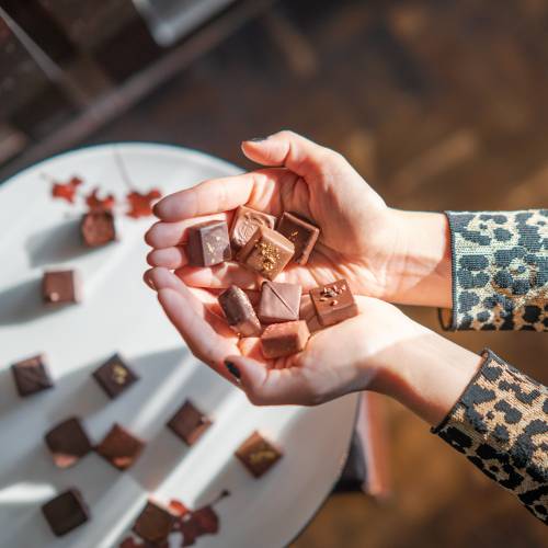 Hands holding multiple small pieces of chocolate