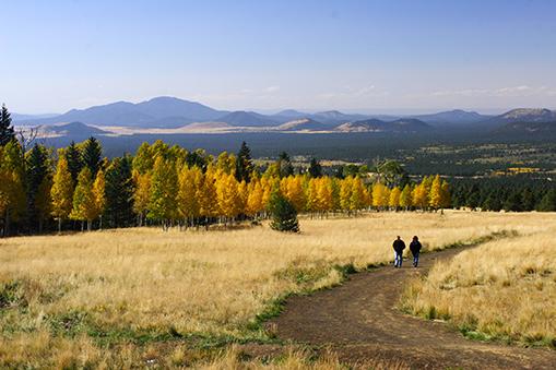 places to visit in flagstaff during fall