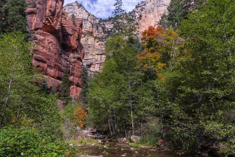Oak Creek in Sedona in the fall