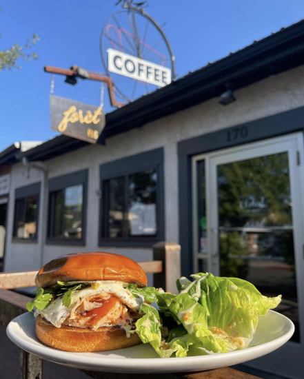 A sandwich and salad on a plate in front of Foret on a sunny day in Flagstaff