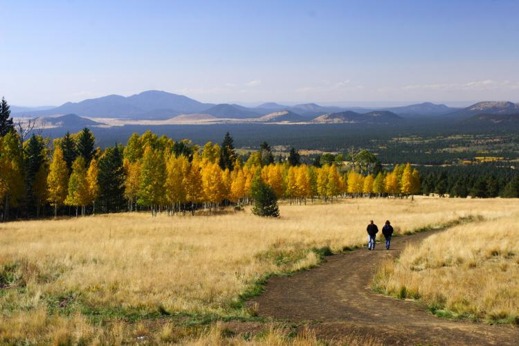 a couple hikes the Aspen Nature Loop trail and admires fall leaves turning yellow