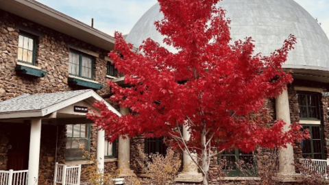Tree in front of Lowell Conservatory with red fall leaves in Flagstaff Arizona