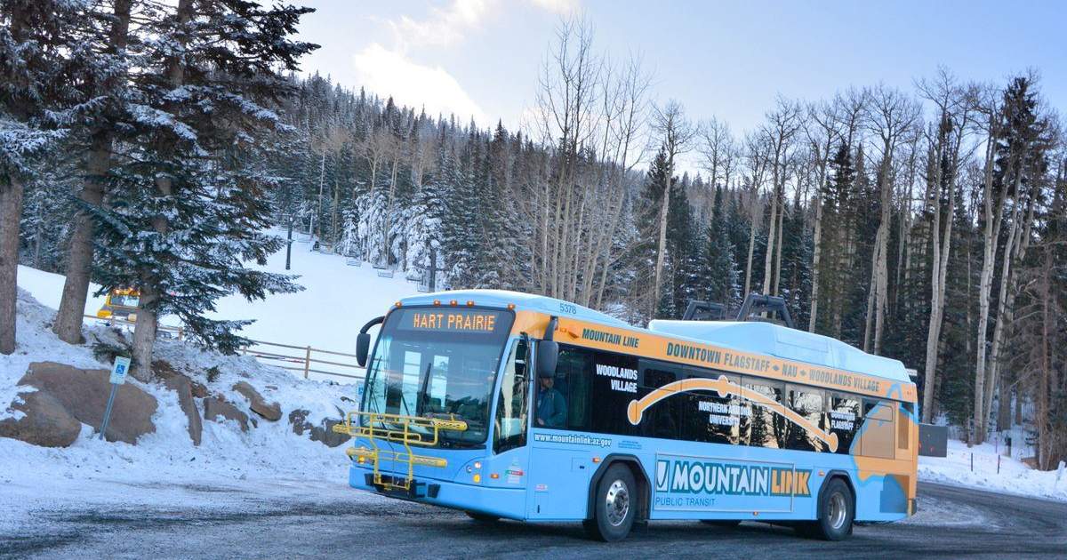 Bus Discover Flagstaff
