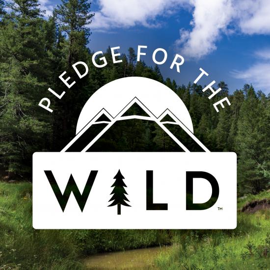 Pledge for the wild banner