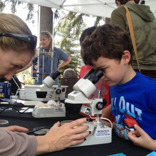 2025 Flagstaff Festivals Discover Flagstaff