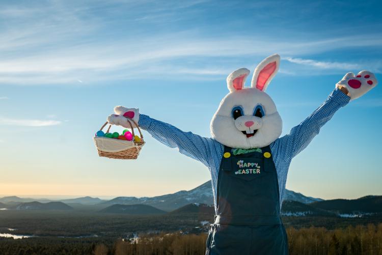 An Easter bunny holding a basket and posing in Flagstaff, AZ