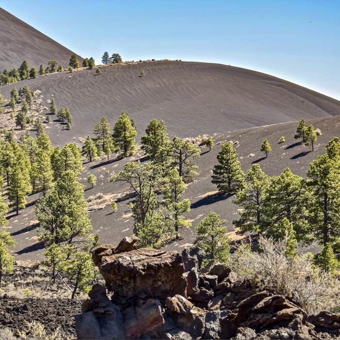 Rolling sandy hills surround a valley area with sparse trees at Sunset Crater in Flagstaff, AZ.