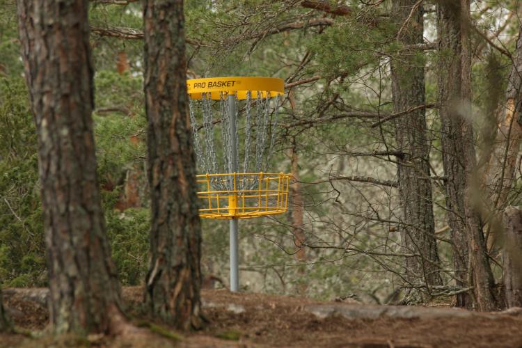 A disc golf basket is tucked away among the trees of a park. 