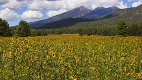 The 10 best places to avoid noise, light and air pollution - USA Today